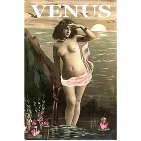 Divine - Venus